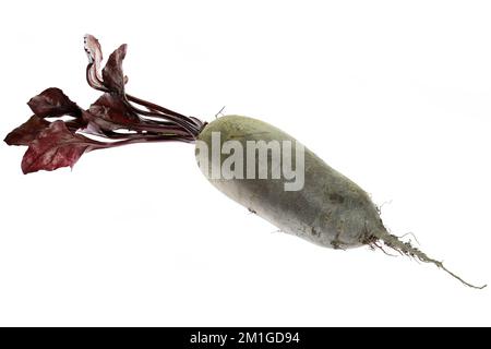 beetroot with leaves isolated on white background Stock Photo