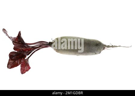 beetroot with leaves isolated on white background Stock Photo