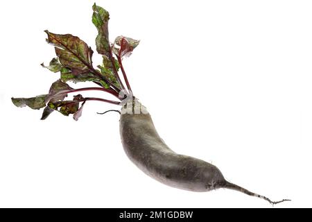 beetroot with leaves isolated on white background Stock Photo