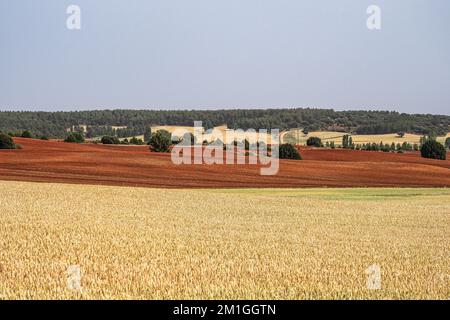 Red soil, remote rural landscape near Caleruega in Burgos province, Spain, Europe Stock Photo