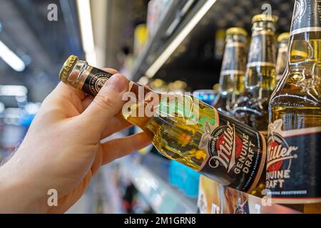 Miller beer bottles on shelves in a supermarket. Buyer takes Miller beer. Hand is holding Miller beer. Minsk, Belarus, 2022 Stock Photo