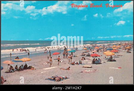 Virginia Beach, Virginia , Beaches, Tichnor Brothers Collection