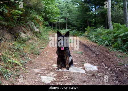 I'll wait for you Stock Photo