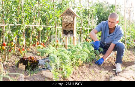 Organic farmer working in his garden Stock Photo
