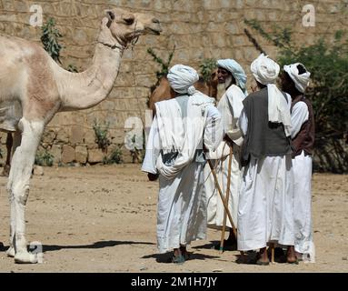 Camel traders at the traditional Monday market in Keren Stock Photo