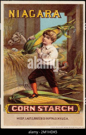 Niagara Corn Starch , Boys, Corn, Food, Starch industry, 19th Century American Trade Cards Stock Photo