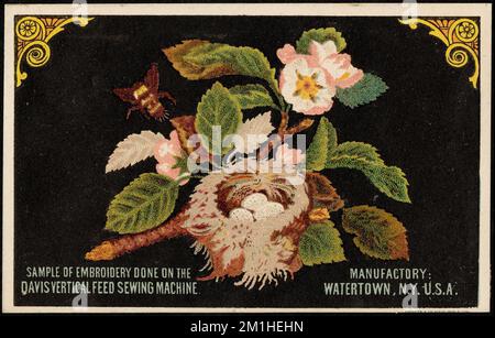 Sample of embroidery done on the Davis vertical feed sewing machine. , Flowers, Eggs, Nests, Bees, Sewing machines, 19th Century American Trade Cards Stock Photo