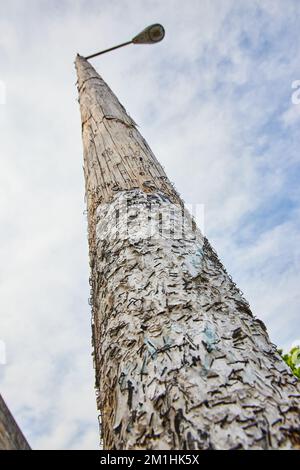 Looking up at telephone pole covered in layers of paper and staples Stock Photo