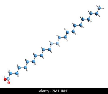 3D image of Nervonic acid skeletal formula - molecular chemical structure of cis-15-Tetracosenoic acid isolated on white background Stock Photo