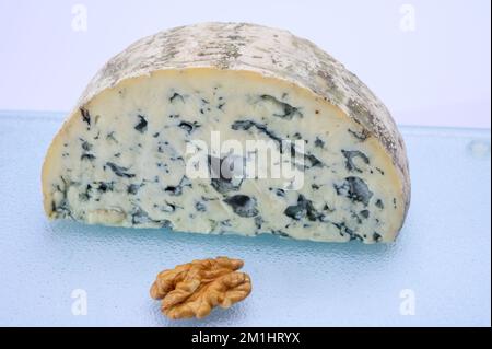 Cheese collection, piece of French blue cheese auvergne or fourme d'ambert close up Stock Photo