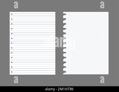 Exercise book paper page background. Notebook sheet lined texture pattern Stock Vector