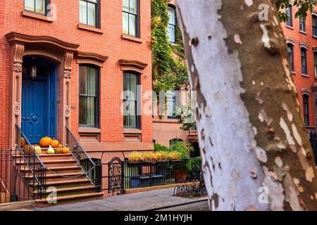 Tree by beautiful brick Greenwich Village building with pumpkins and blue door in New York City Stock Photo