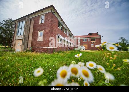 Flowers and field outside of old abandoned brick building in midwest America Stock Photo