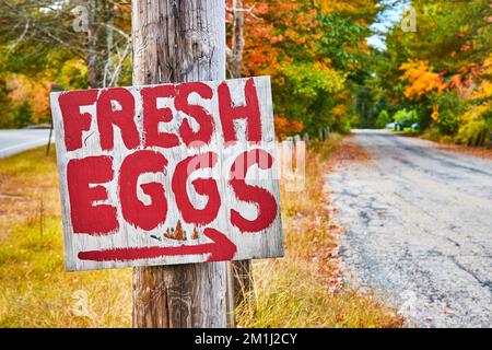 Red painted Fresh Eggs sign with arrow leading down gravel country road in fall foliage Stock Photo