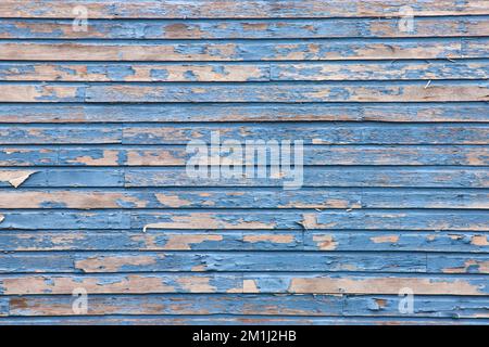 Detail texture straight on of old barnwood with peeling blue paint Stock Photo