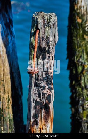 Detail of abandoned pilings with fire damage Stock Photo