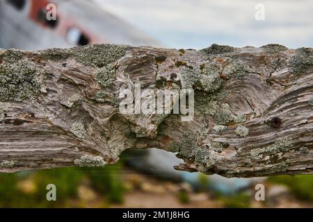 Detail of old wood fence post deteriorating with soft crashed airplane behind Stock Photo