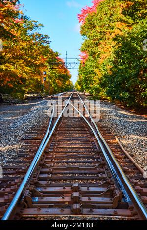 On empty train tracks leading into forest during fall foliage Stock Photo