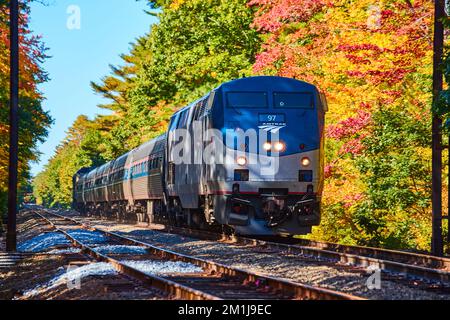 Amtrak train going through forest during fall foliage in Maine Stock Photo