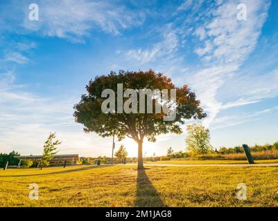 Sunny landscape of the YMCA PARK at Oklahoma Stock Photo