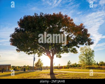 Sunny landscape of the YMCA PARK at Oklahoma Stock Photo