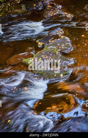 Rocks in middle of creek with water raging around and leaves covering Stock Photo