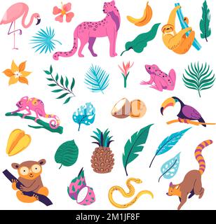 Tropic botany and animals, wilderness vectors Stock Vector