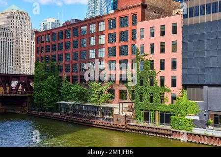 Brick buildings covered in vines along river canal in large city Stock Photo