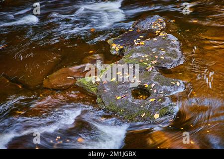 Leaves and moss-covered carved rocks in middle of soft raging river in detail Stock Photo