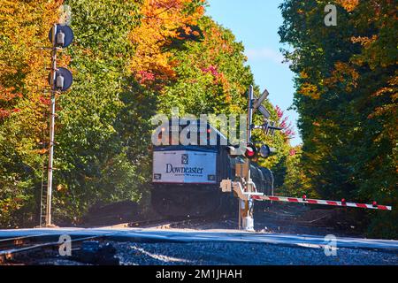 Back of Amtrak train going over road and through fall forest Stock Photo