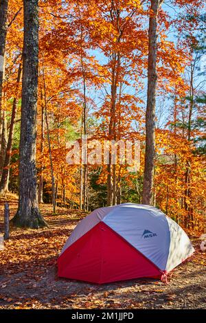 Red and white MSR camping tent set up on campsite in orange leaf forest of late fall Stock Photo