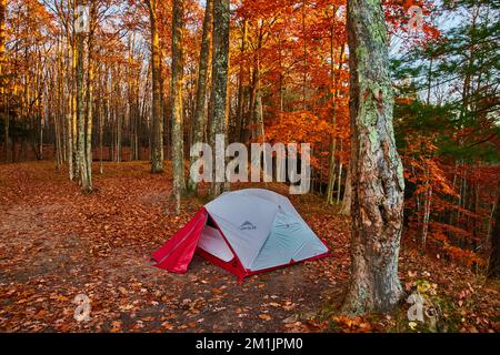 Orange leaves litter ground in beautiful late fall forest with red and white camping tent set up at campsite Stock Photo
