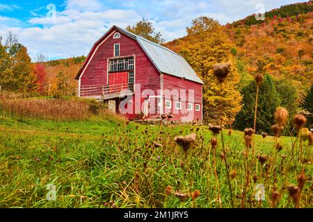 Beautiful red country barn in grassy fields with hills of colorful yellow and red trees Stock Photo