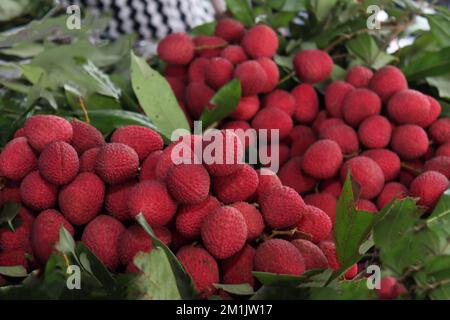 tasty and healthy litchi bunch in farm for harvest and sell Stock Photo