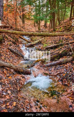 Stunning fall forest river creek through clay with clear water and fallen logs Stock Photo