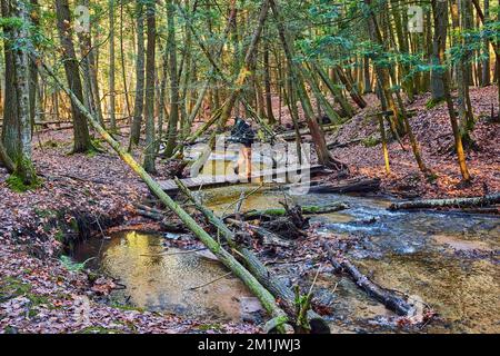Hiker crossing small bridge over creek in forest during late fall Stock Photo