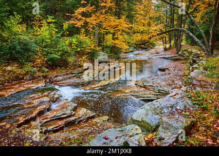 Beautiful river in peak fall with waterfall and tree hanging over with yellow fall leaves Stock Photo