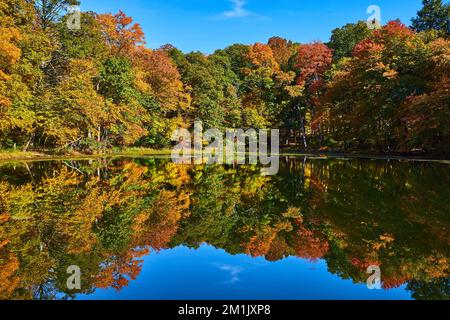 Beautiful fall forest reflecting on waters of pond during peak fall Stock Photo
