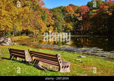 Pair of park benches on grass by small pond lined with fall forest trees Stock Photo