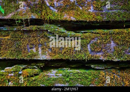 Stone wall with cracks texture and covered in moss Stock Photo