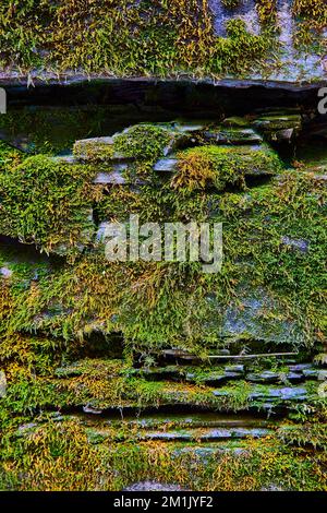 Orange and green moss cover stone wall straight on texture detail Stock Photo