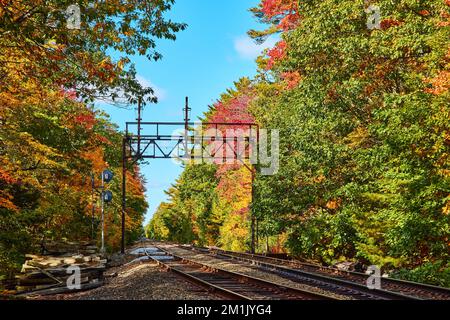 Train tracks empty through fall forest in Maine Stock Photo