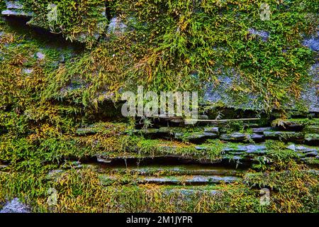 Mossy stone wall texture asset with lichen Stock Photo