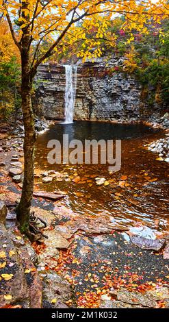 Autumn landscape with a creek going in to the photo with trees and ...