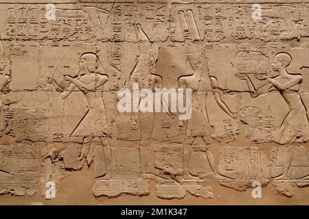 Close up of ancient egyptian wall relief carving with hieroglyphs ...