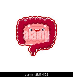 Cartoon gut human body organ character. Vector gastrointestinal system anatomical personage, happy intestine with healthy flora and cute smiling face Stock Vector