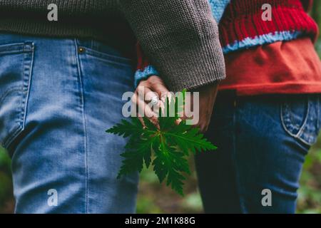 Close up of people in relationship hugging with love and holding a green leaf with hands. Concept of people and nature environment care. Man and woman Stock Photo