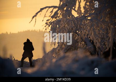 Schmitten, Germany. 13th Dec, 2022. A woman stands between snow-covered trees in the light of the morning sun on the Großer Feldberg. People in Hesse can look forward to sunshine in many places on Tuesday, but it will remain frosty. According to the German Weather Service in Offenbach this morning, highs will reach minus four to zero degrees Celsius. It is widely sunny, in northern parts of the country there are more frequent fog or high fog. Meteorologists do not expect precipitation. Credit: Sebastian Gollnow/dpa/Ģ����ý Live News Stock Photo