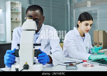 Portrait of two ethnic young people working in medical laboratory, black man using microscope in foreground Stock Photo