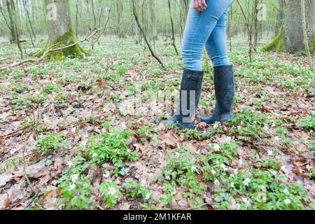 detail of woman wearing rubber boots in spring forest Stock Photo